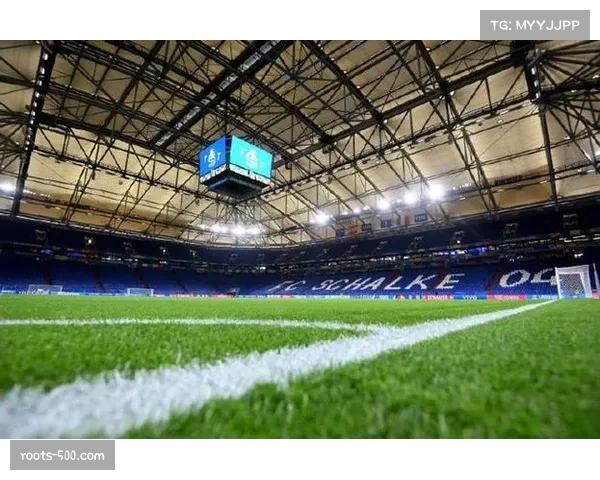 美因茨对阵沙尔克,客队球迷因燃放烟火导致比赛短暂中断